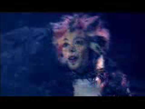 Veerle Casteleyn , YouTube
